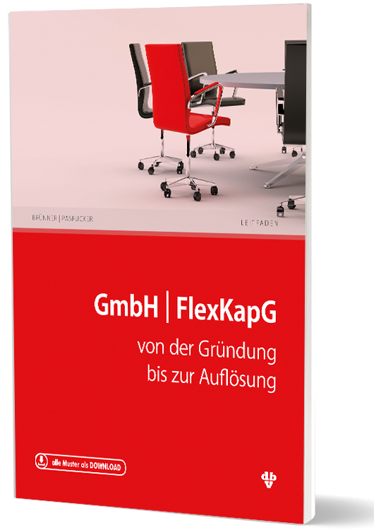 Artikelbild: GmbH & FlexKapG